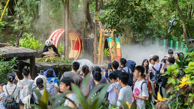 跟着全运游广东，一场“裂变”正在上演