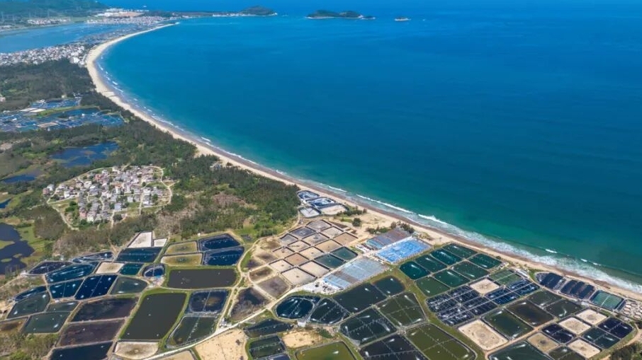 广东全面推进海洋强省建设有何成效？一组海报速览