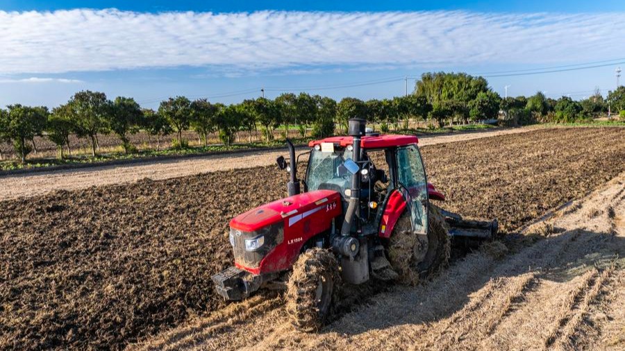 Blé d'hiver en Chine