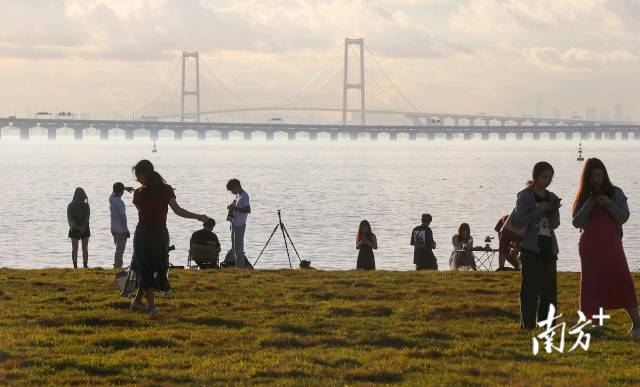不少游客来到深中通道日出观赏点拍照。