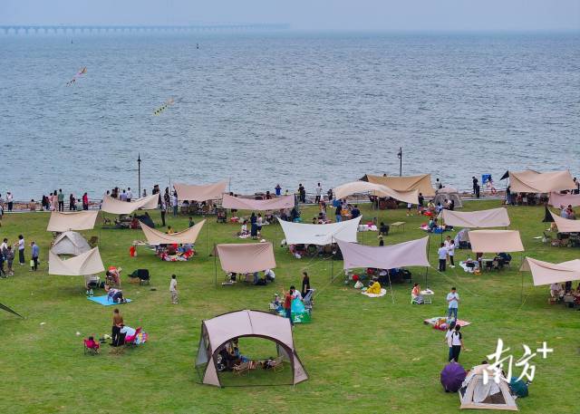 周末或者假期时,翠亨新区海边的大草坪铺满了帐篷。