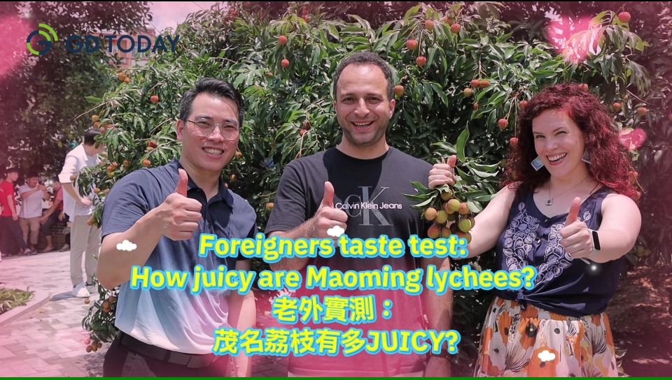 Foreigners taste test: How juicy are Maoming lychees?