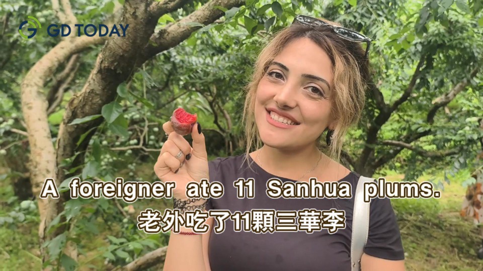 International vloggers enjoy Sanhua Plum feast in Xinyi, Maoming