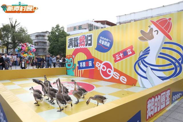 2024年广州市增城区派潭镇黄洞万能村“村晚”旁，“套大鹅”游戏备受欢迎。受访者供图