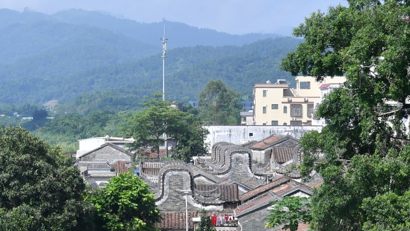 镇出发丨新兴县簕竹镇：扬优成势发展高效养殖