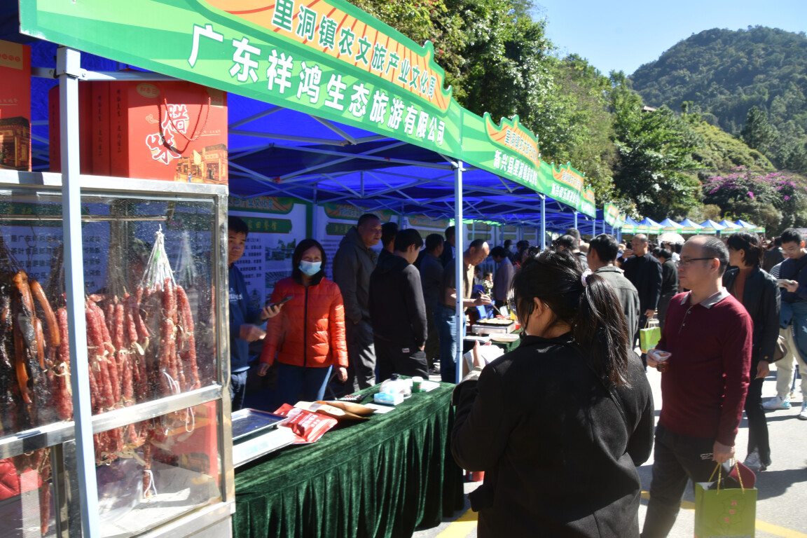 镇出发丨新兴县里洞镇： “党建+”走出农文旅融合新路子