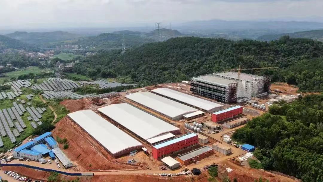镇出发丨罗定市素龙街道：24个村（社区）集体经济经营性收入均超15万元