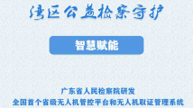 湾区公益检察守护——智慧赋能 湾区公益检察守护——智慧赋能