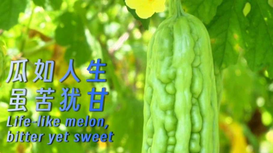 Life-like melon, bitter yet sweet
