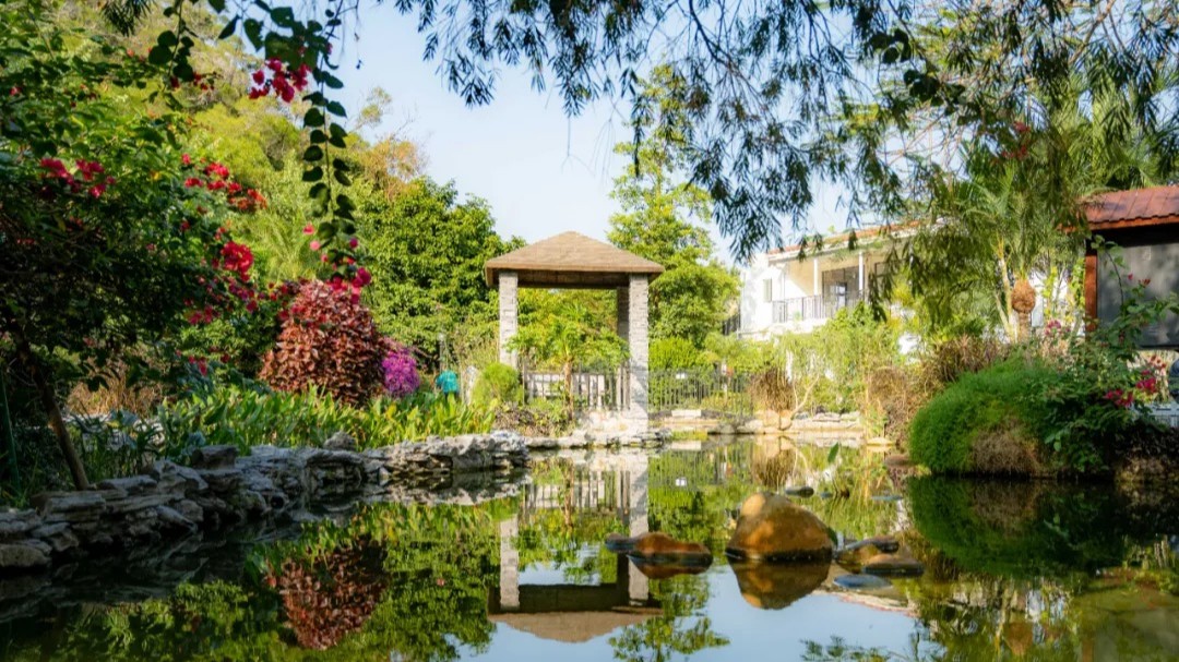 Hidden gems of Hengqin: embrace an active green lifestyle