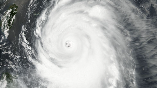 茂名启动防风Ⅳ级应急响应