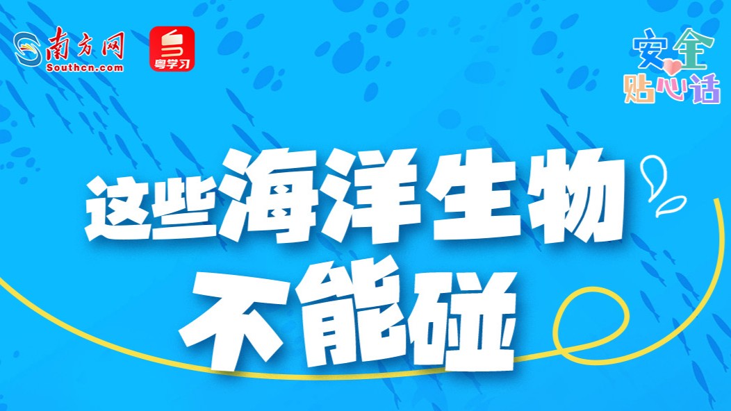 暑期赶海防护必看！这些生物千万别碰→丨安全贴心话
