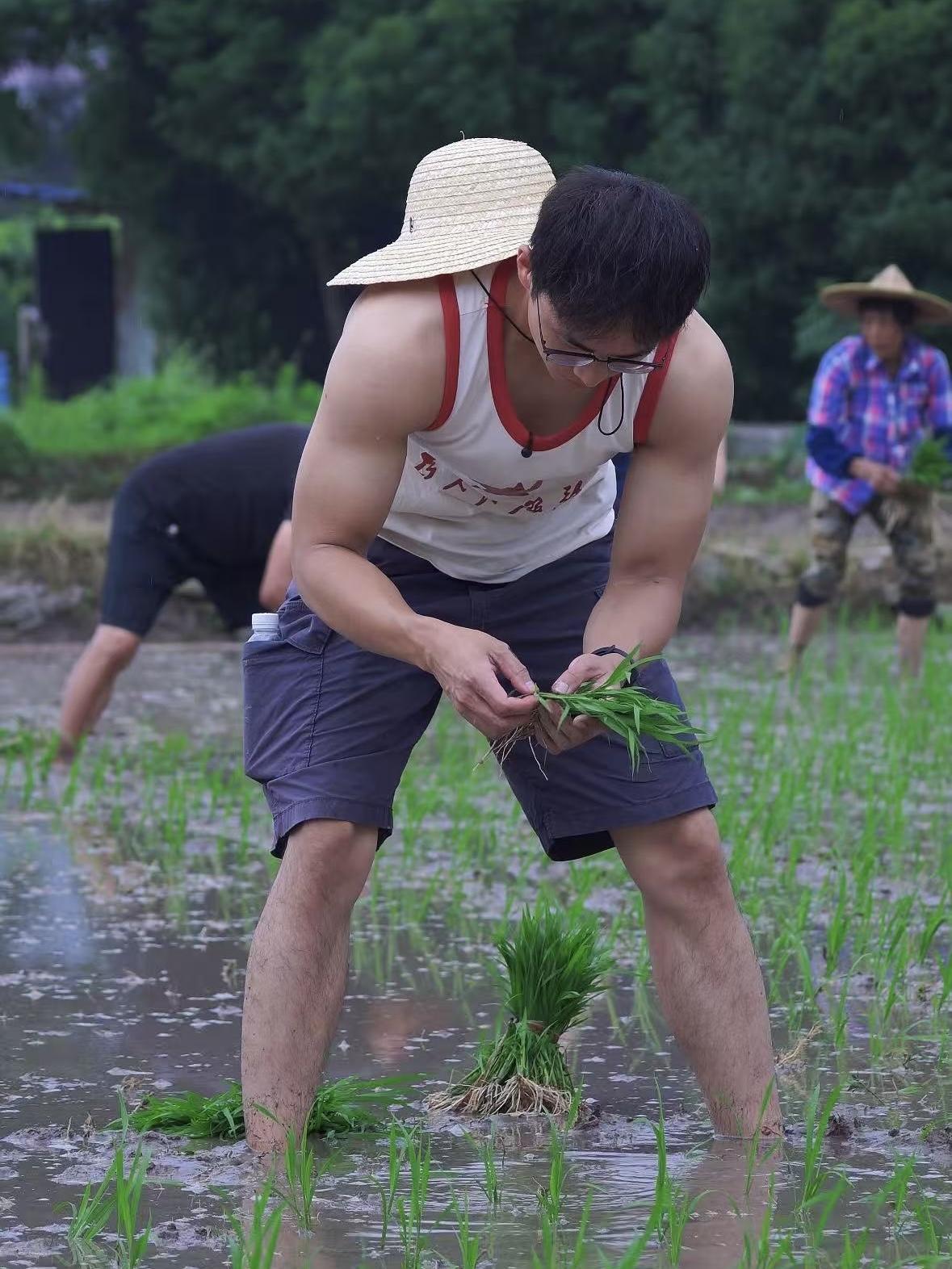 林小白在农田中。