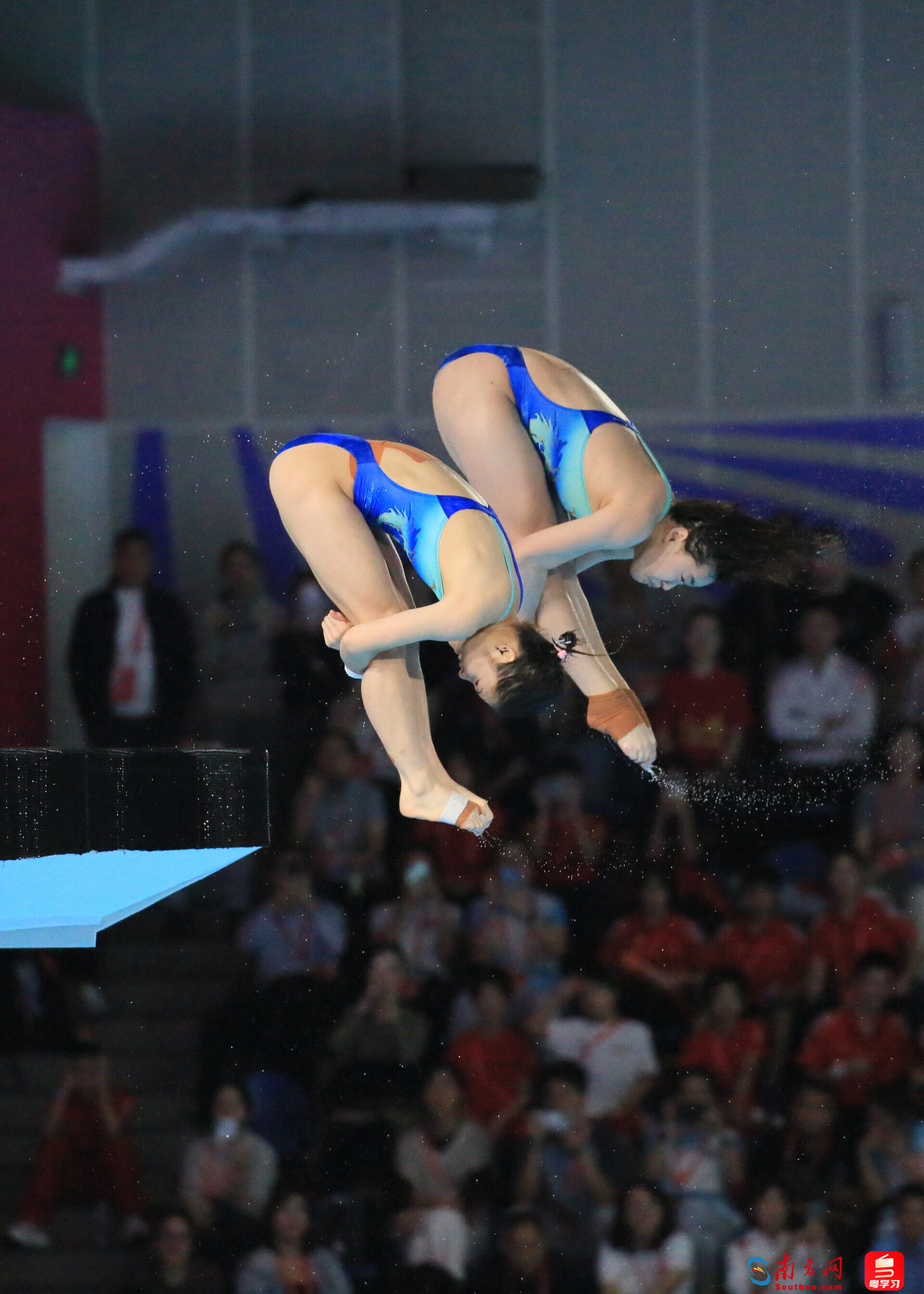 全红婵和王伟莹在比赛中。图：南方网、粤学习记者 刘竞宇