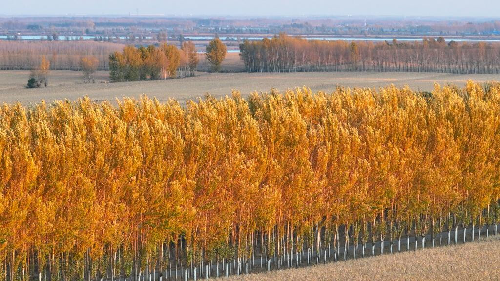 Autumn scenery in village of Heilongjiang, NE China