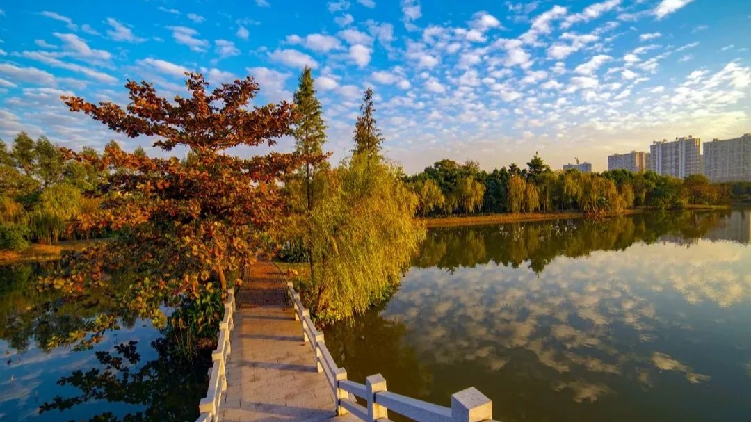 Explore Dongguan's serene autumn escapes