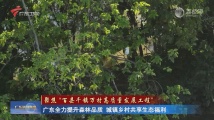 广东全力提升森林品质 城镇乡村共享生态福利 广东全力提升森林品质 城镇乡村共享生态福利