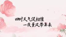 藏不住了!生如夏花之绚烂,说的就是TA 藏不住了!生如夏花之绚烂,说的就是TA