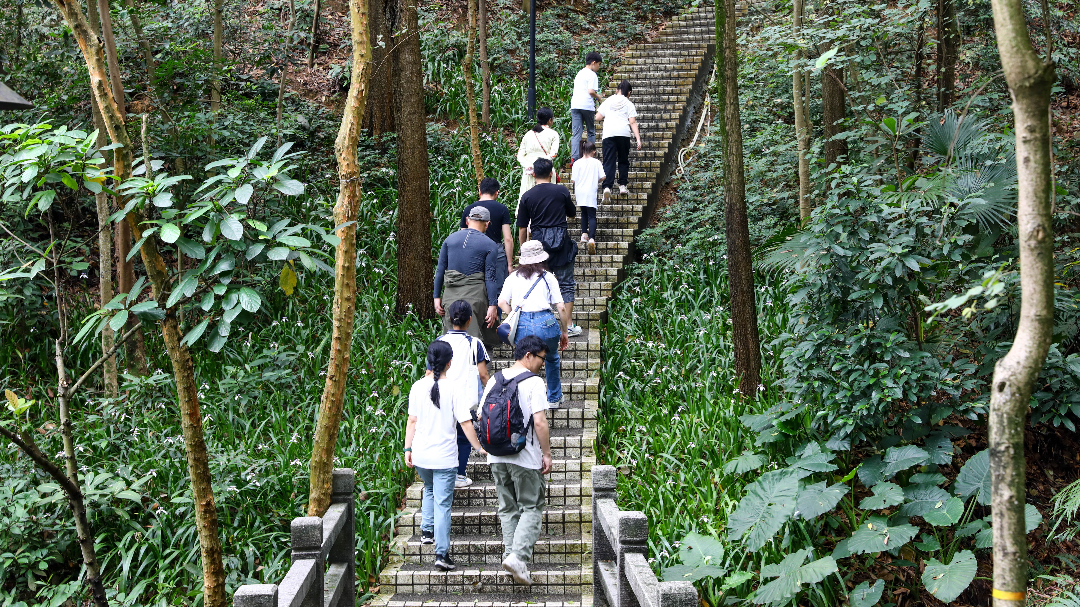 National Fitness Day | How to enjoy badminton and mountaineering without injuries?