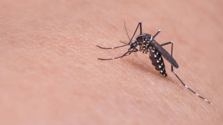 广州疾控提醒：这两个时段记得关门关窗