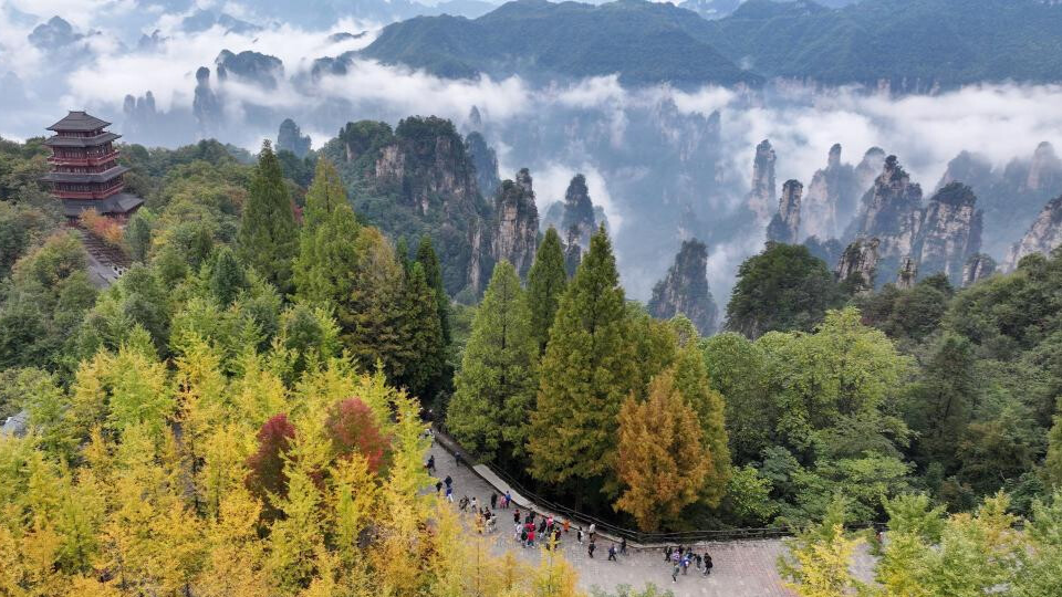 Autumn scenery across China