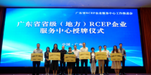 ​Services highlighted to help Guangdong-based enterprises seize RCEP opportunities