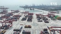 广州南沙港:以科技赋能智慧绿色港口 广州南沙港:以科技赋能智慧绿色港口