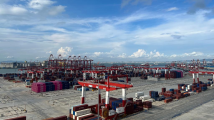 在智慧港口见证大湾区经济活力——广州南沙港走访一线见闻