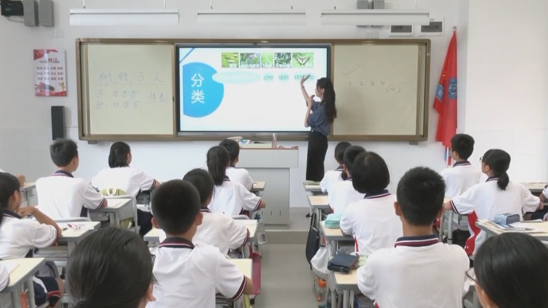 教育部启动实施全国县域普通高中头雁教师岗位计划