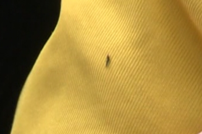 Attention! Avoid wearing yellow clothes when going out