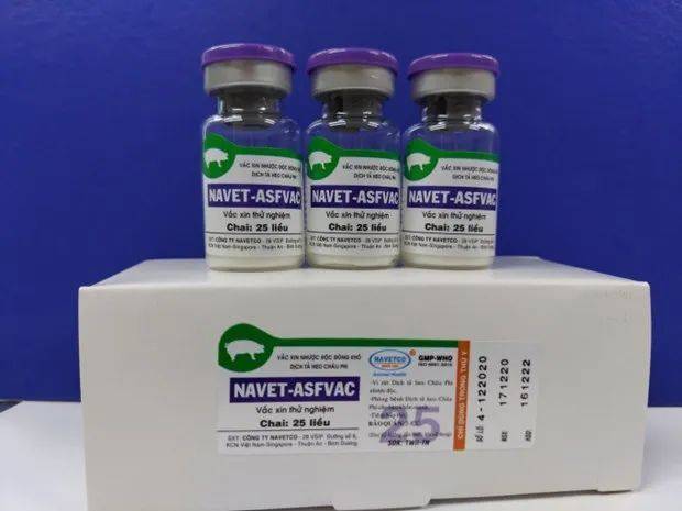 越南的非洲猪瘟疫苗的商品名为 NAVET-ASFVAC 。图自：越通社