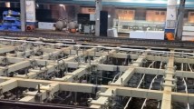 强信心 稳预期 促发展|解密“南海I号”,广东阳江的海丝文化之宝 强信心 稳预期 促发展|解密“南海I号”,广东阳江的海丝文化之宝