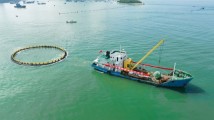 强信心 稳预期 促发展丨加快现代海洋牧场建设,汕尾“蓝色经济”激发高质量发展新动能 强信心 稳预期 促发展丨加快现代海洋牧场建设,汕尾“蓝色经济”激发高质量发展新动能