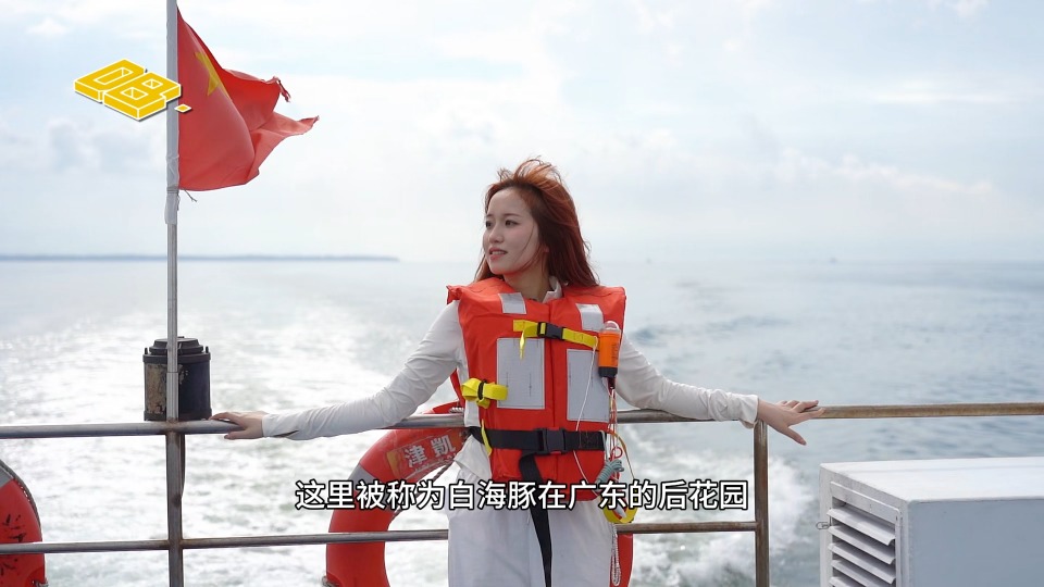 Encountering Chinese white dolphins with me in Zhanjiang