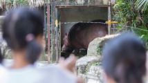 广州市教育局:暑假期间不宜过度为孩子安排校外培训 广州市教育局:暑假期间不宜过度为孩子安排校外培训