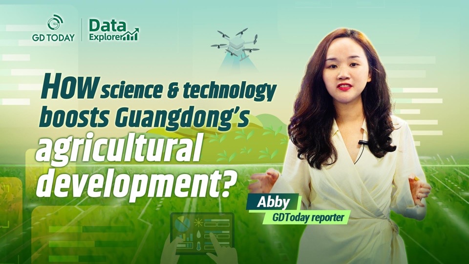 Data explorer | How science and technology boosts Guangdong's agricultural development?