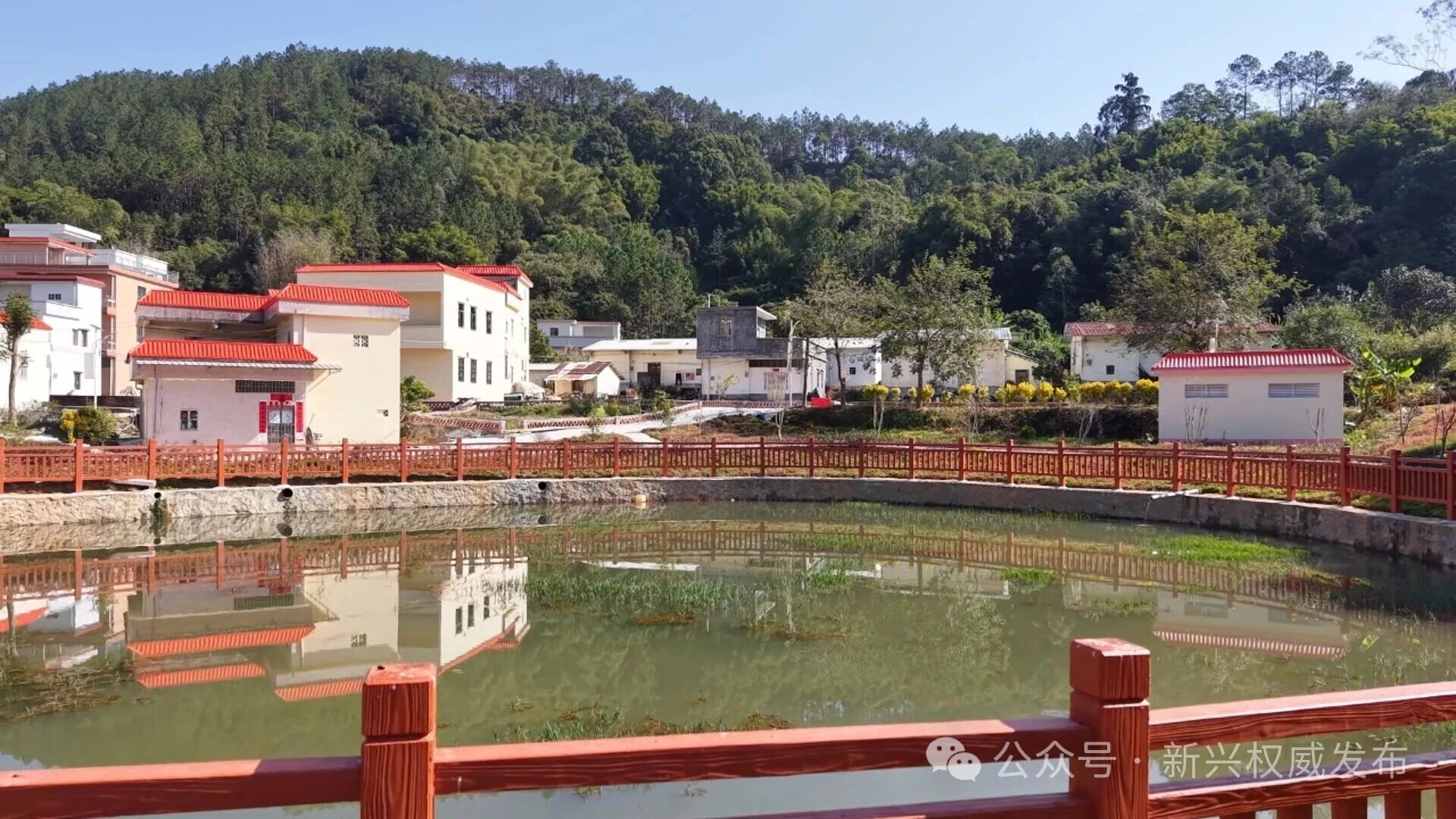 粤来粤好百千万丨新兴县大江镇全力推进人居环境整治