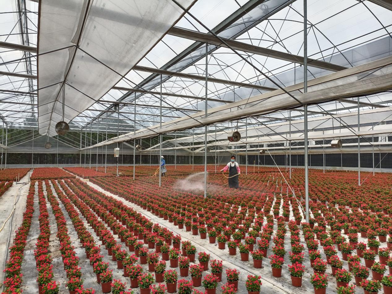 郁南县东坝镇以招商引资推动镇域经济发展