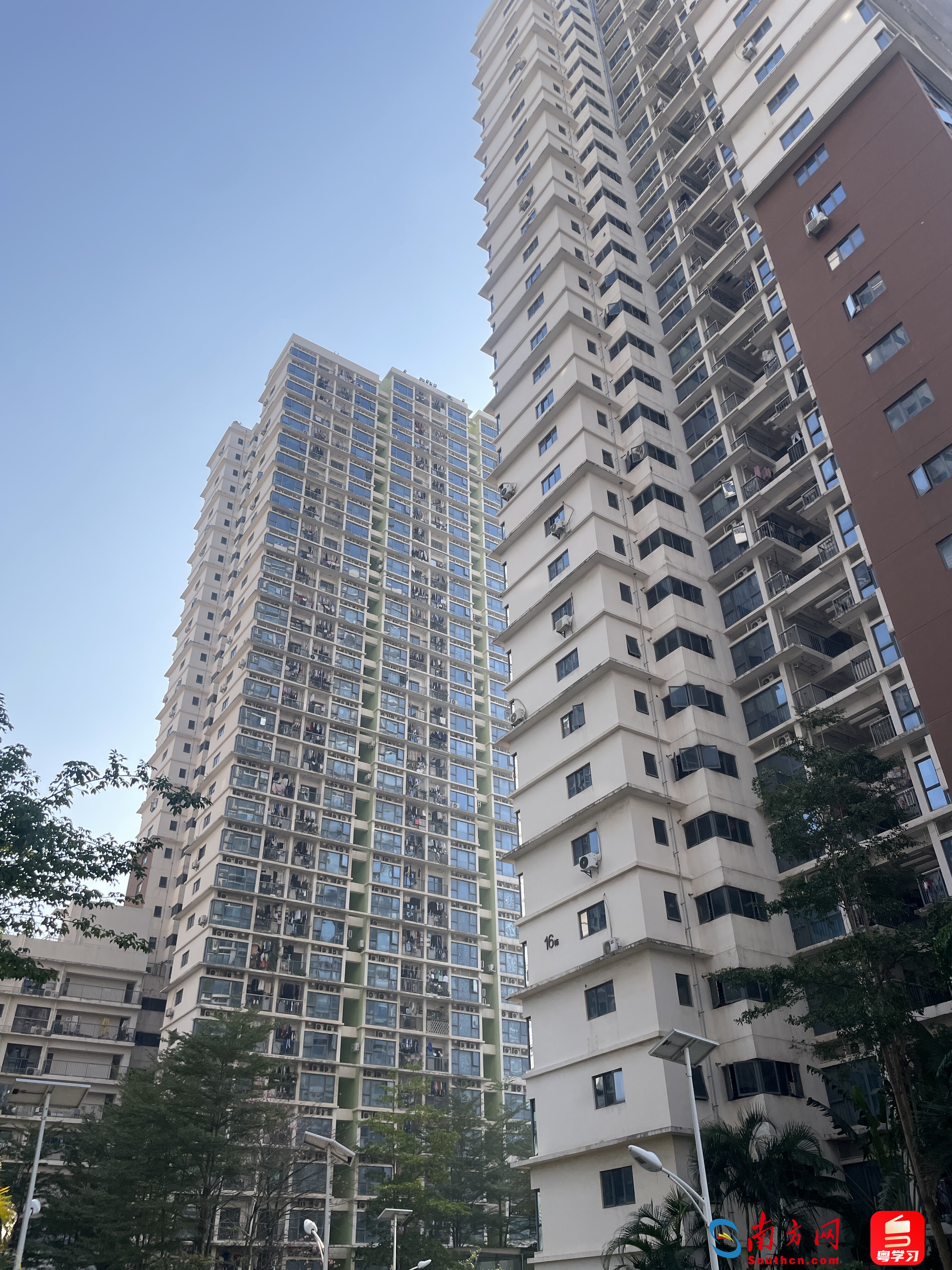 深圳龙海家园密集的楼房。