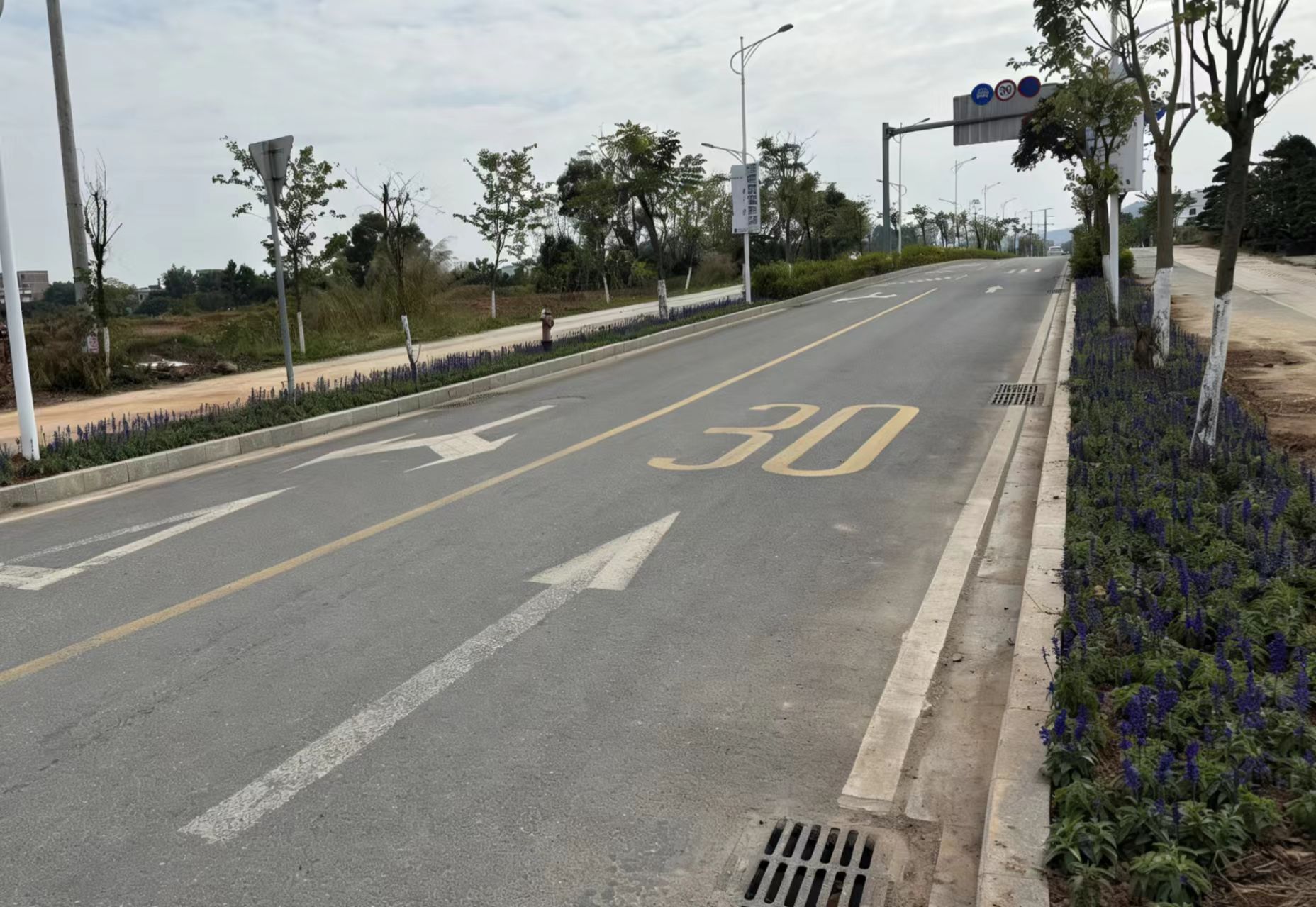 云浮罗定素龙街道：积极探索农文旅融合发展新路径