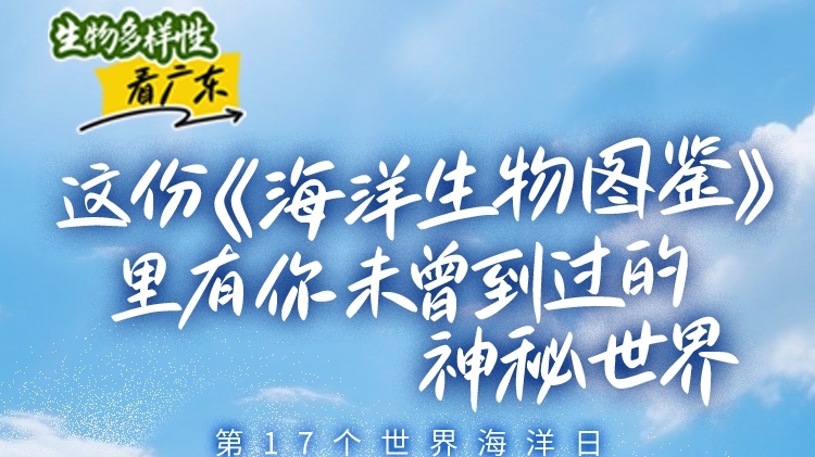 这份《海洋生物图鉴》里有你未曾到过的神秘世界