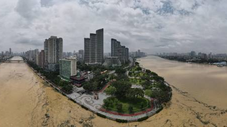 水漫长堤，街坊徒手抓鱼！记者多点直击珠江涨潮现场
