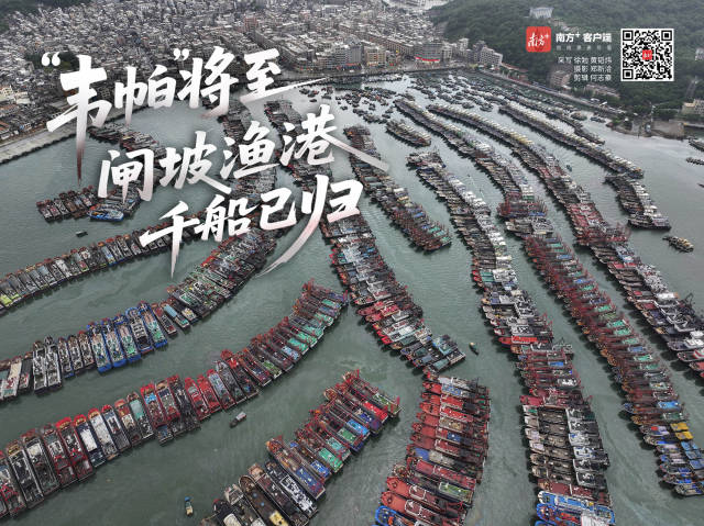 “韦帕”将至，闸坡渔港千船已归