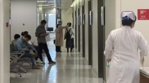 基孔肯雅热感染风险持续上升 顺德发布告全体市民书 基孔肯雅热感染风险持续上升 顺德发布告全体市民书