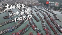 “韦帕”将至,闸坡渔港千船已归 “韦帕”将至,闸坡渔港千船已归