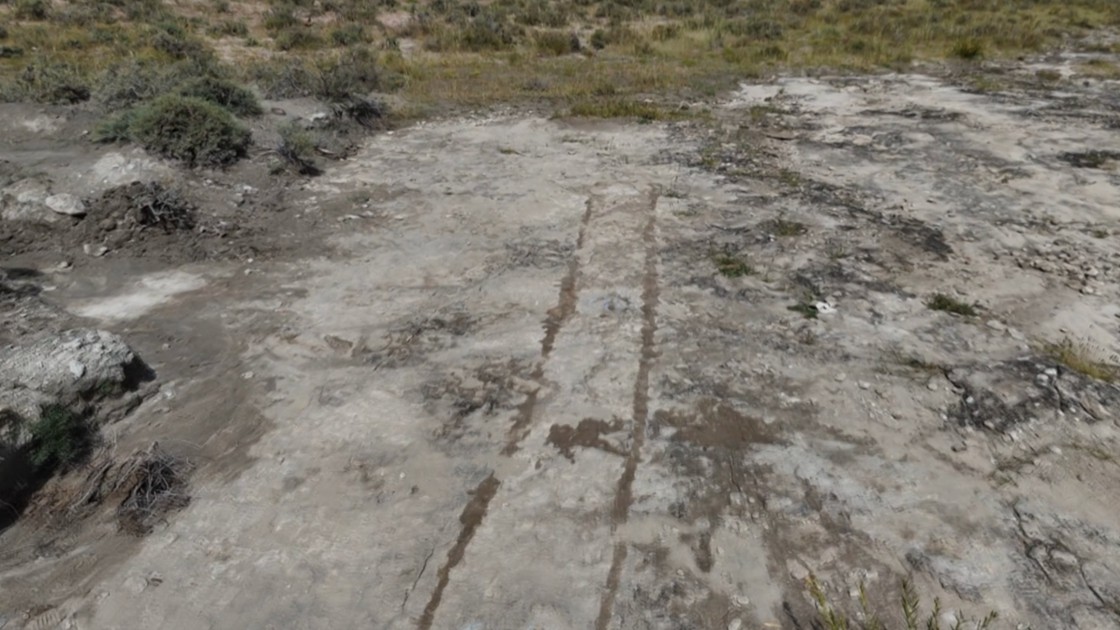World's fastest-running medium-sized theropod dinosaur tracks from the Cretaceous period discovered in Inner Mongolia