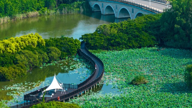 Beating the heat in Guangzhou's refreshing natural hideaways