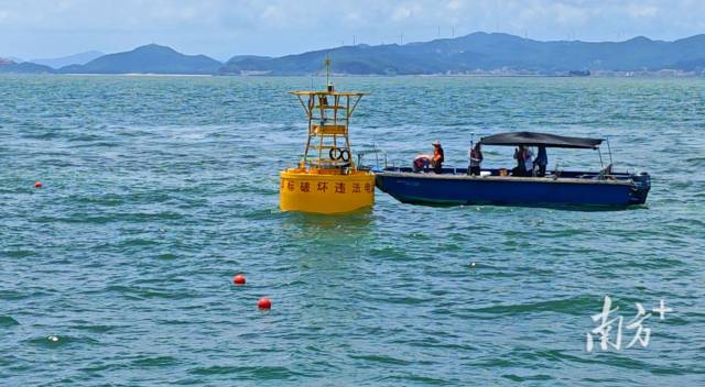 浮标安装、投放以及位置精准确认。图片来源：南海生态中心