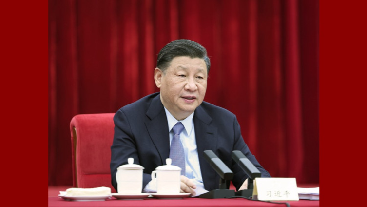 Xi stresses healthy, high-quality development of private sector