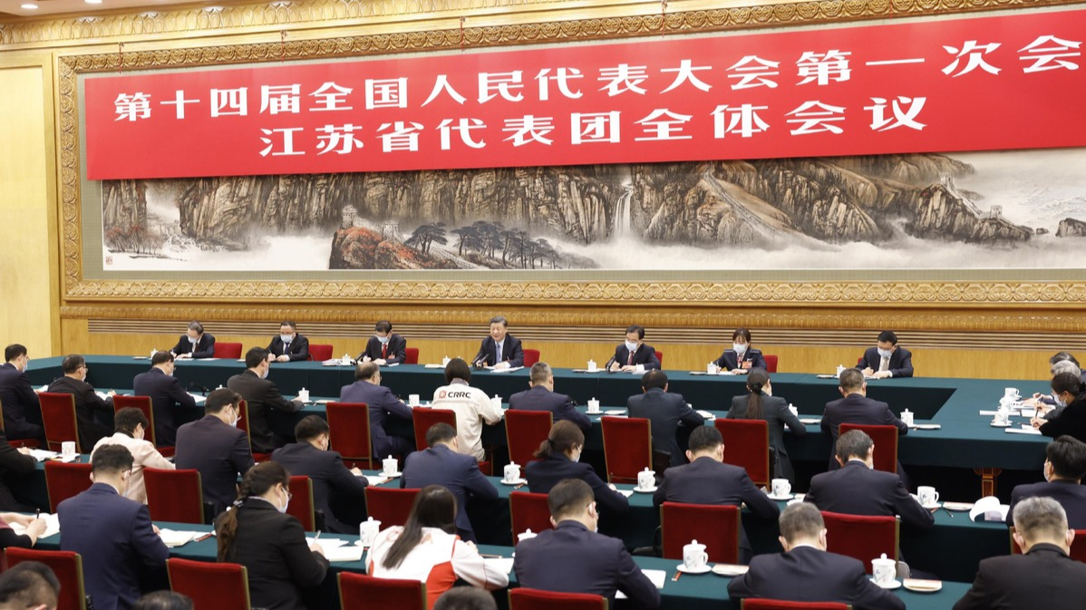 NPC deputies encouraged by Xi's responses to ideas